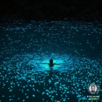 Wasserspiele-Test 10 Artistly